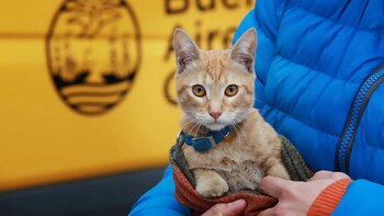 En 2023 se registró 111