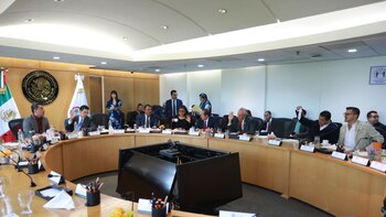 Diputados frenaron reforma para la