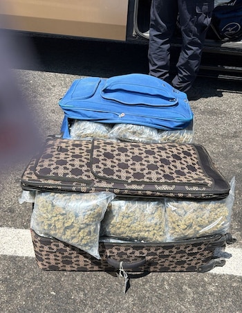 Dos maletas abiertas y apiladas revelan múltiples bolsas de cannabis en un entorno exterior. Se observan las piernas de un oficial y parte de un vehículo