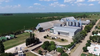 “Insolvencia definitiva e irremediable”: un gigante cordobés de la exportación de maní pidió su propia quiebra