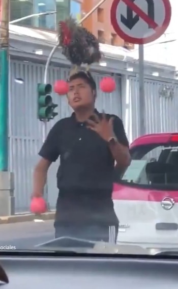 La increíble escena generó debate sobre si el video es auténtico o creado digitalmente. (Captura de pantalla)