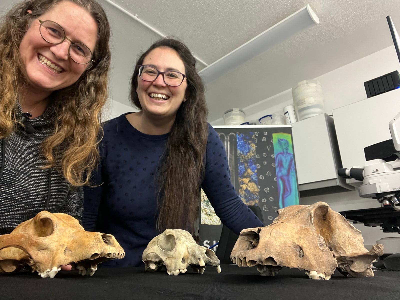 Científicas de la Universidad Exeter con colaboradores de otros países descubrieron que la diversidad morfológica de los perros domésticos existía hace al menos 11.000 años (Universidad de Exeter, Reino Unido)