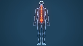 Traje biónico controlado mentalmente permite a los pacientes paralizados sentir cada paso