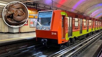 En redes sociales, circuló un