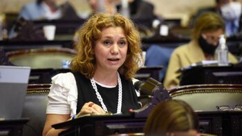 Karina Banfi, diputada de Juntos