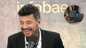 La divertida confusión de Ozzy, el perro de Infobae Mundial, al dar su pronóstico para Portugal vs. Colombia