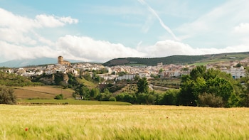 Dos siglos de disputa por ver dónde estaba el límite del pueblo: la batalla legal por 1.300 hectáreas de monte que cambió la geografía de Granada