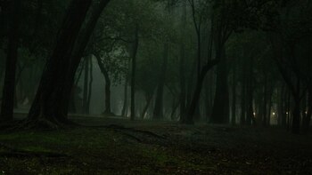 Esta es la casa oculta