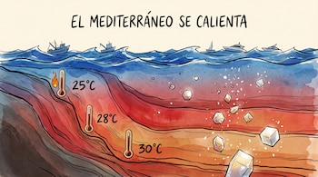 Ilustración en corte del mar Mediterráneo con barcos en la superficie, termómetros de 25 a 30 grados y cristales de sal en el fondo.