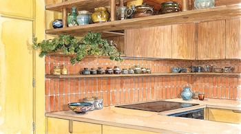 Ilustración de una cocina con estantes de madera, gabinetes, salpicadero de azulejos terracota, maceta con planta, objetos de cerámica y una encimera con vitrocerámica.
