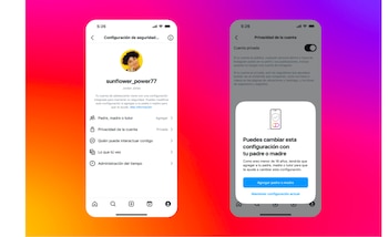 Los adolescentes solo pueden hacer cambios si sus padres o tutores lo autorizan. (Instagram)