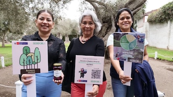 Tres mujeres sonríen frente a un olivar, sujetan carteles de SERFOR, Bosques en la Ciudad y árboles patrimoniales. Una de ellas sostiene un frasco