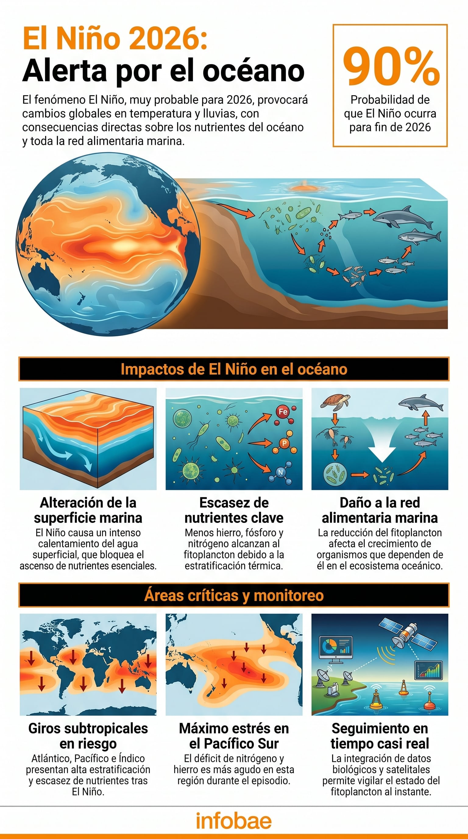 Esta infografía detalla la alta probabilidad de El Niño en 2026 y sus impactos esperados, incluyendo el calentamiento oceánico, la escasez de nutrientes clave y el daño a la red alimentaria marina global, junto con las áreas críticas y el monitoreo. (Imagen Ilustrativa Infobae)