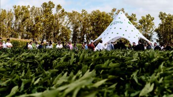 Inhouse Coceta YPF Agro