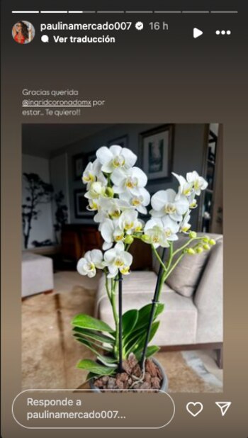 Paulina Mercado reapareció en redes