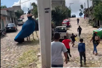 El caballo se fue galopando