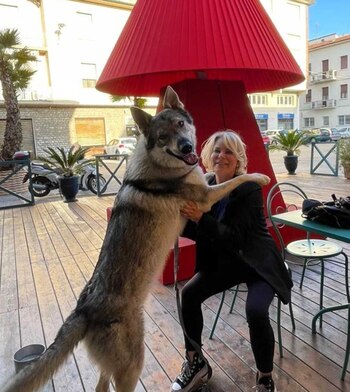 Oreste y su dueña, Silvia