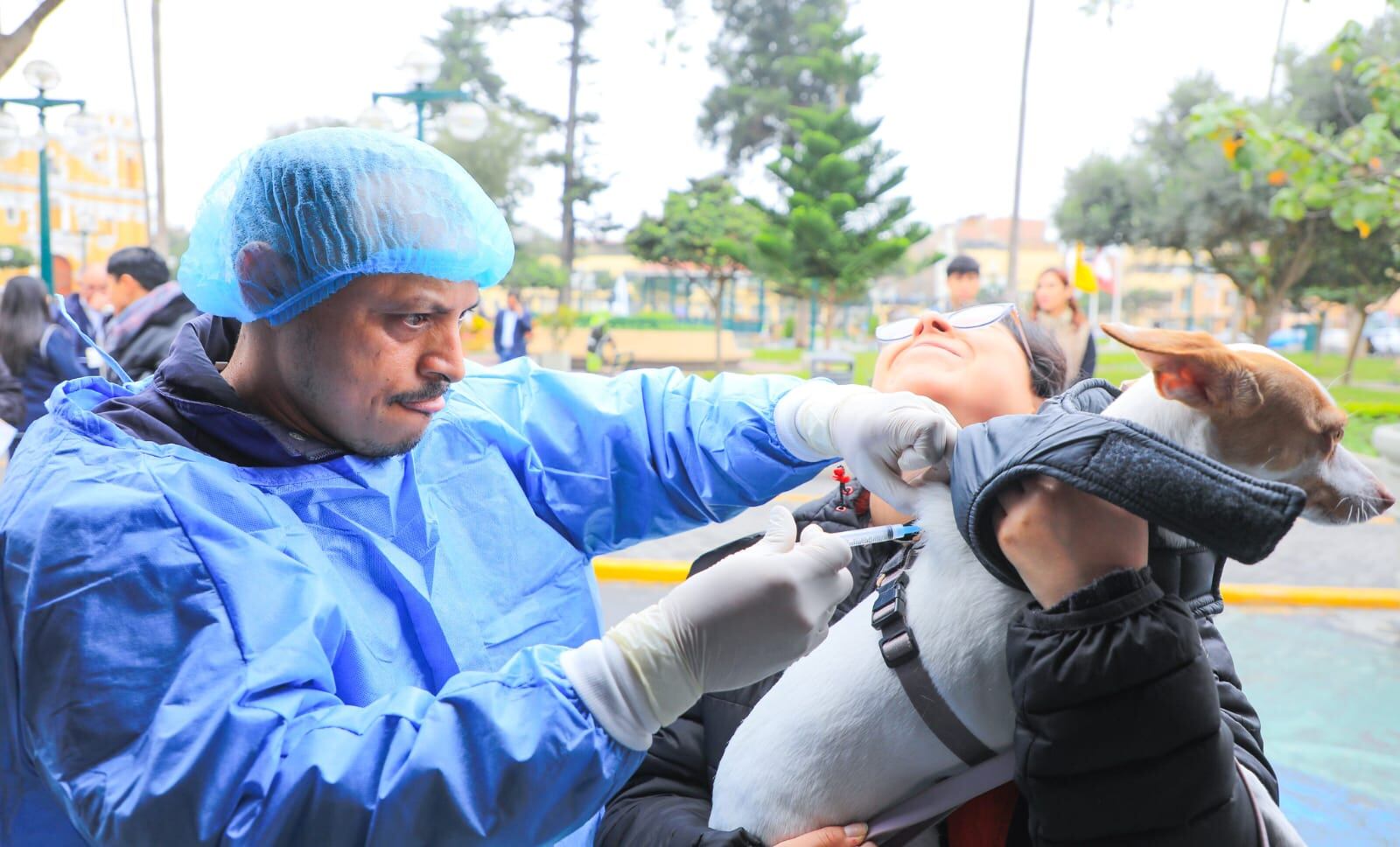 Vacunan a las mascotas. (Foto: Muni Surco)