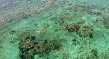 Entre las reparaciones, la sentencia