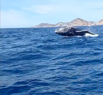 Desde la década de los