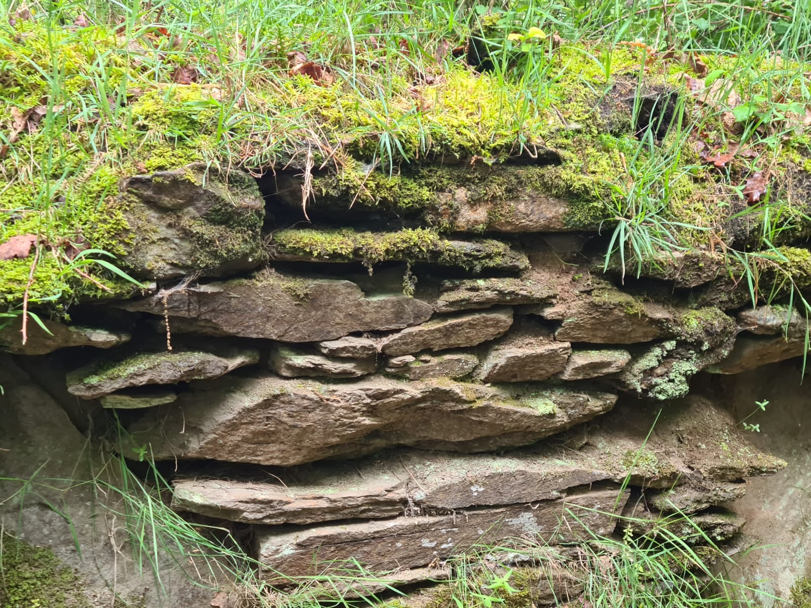 Detalle de los muros de piedra que delimitan los caminos