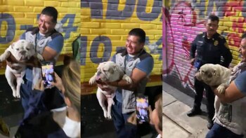 Perrito quedó atrapado en terreno