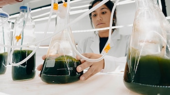 Un equipo del Conicet desarrolla