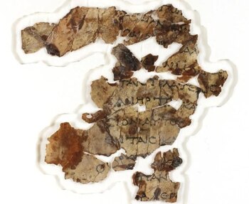 16/03/2021 Nuevo fragmento de Manúscrito