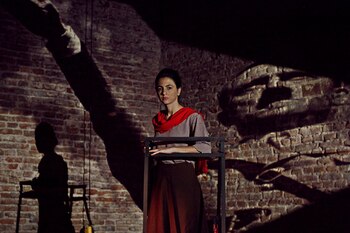 "La conducta de los pájaros",