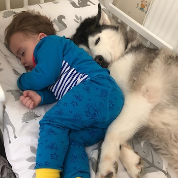 Así están Parker a sus