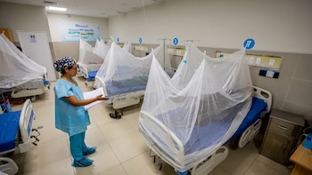 Los casos de dengue aumentaron 7,1% en una semana en Panamá