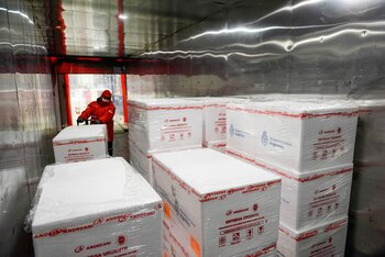 Al país ya arribaron 20.677.145