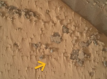 El orificio que se muestra en la imagen mide aproximadamente 1 centímetro (0,4 pulgadas) de diámetro. ( NASA/JPL-Caltech/MSSS )