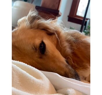 River aprendió a superar sus