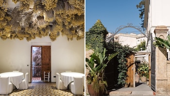 La Salita y su nuevo