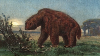 Adaptado hábilmente para su dieta,