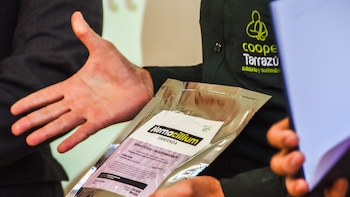 Instituto Tecnológico y cafetaleros crean