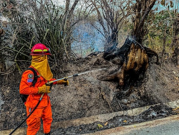 Recientemente, las autoridades también liquidaron
