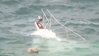 Motorboat blanca semisumergida en agua con barandales de metal, cerca de un animal de pelaje claro que nada