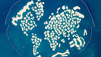 Qué pasó con las islas artificiales de Dubái y por qué aún no finalizaron los proyectos