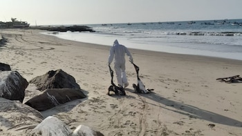 También se realiza el seguimiento