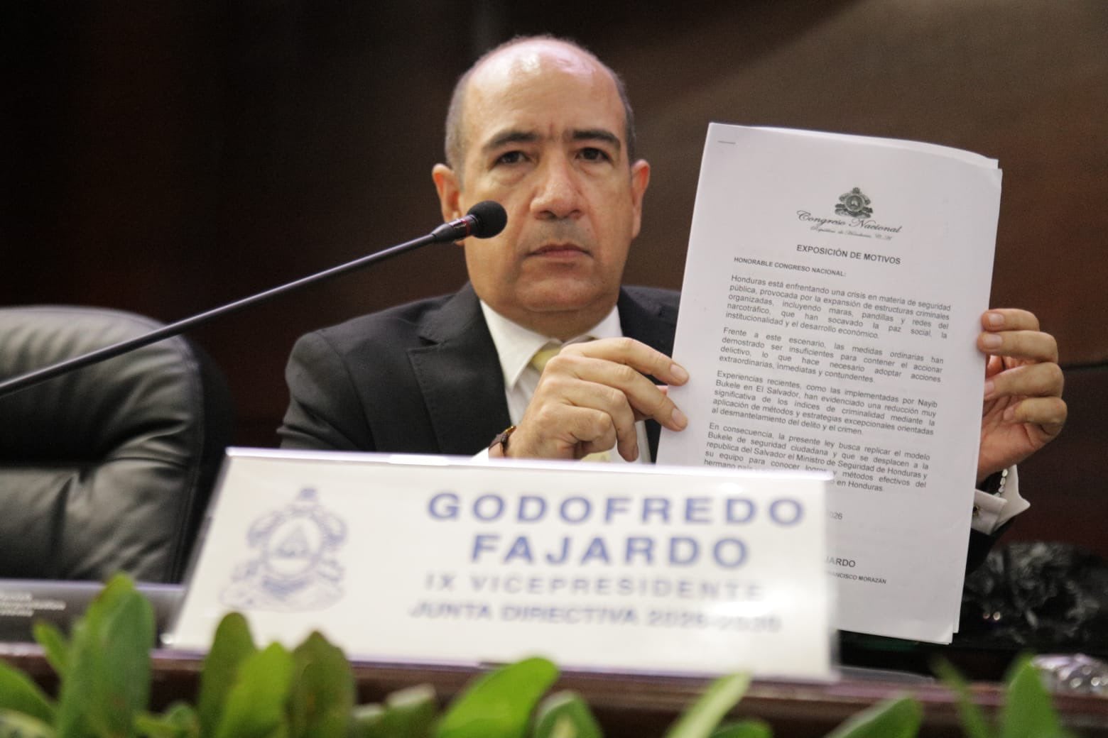 El proyecto de ley, impulsado por el diputado Godofredo Fajardo, ordena al ministro de Seguridad de Honduras reunirse con autoridades salvadoreñas para estudiar los métodos aplicados en El Salvador.(Cortesía: Congreso Nacional de Honduras)