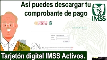 Tarjetón digital del IMSS 2026: