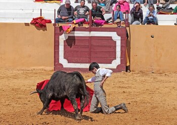 Imagen de la plaza de