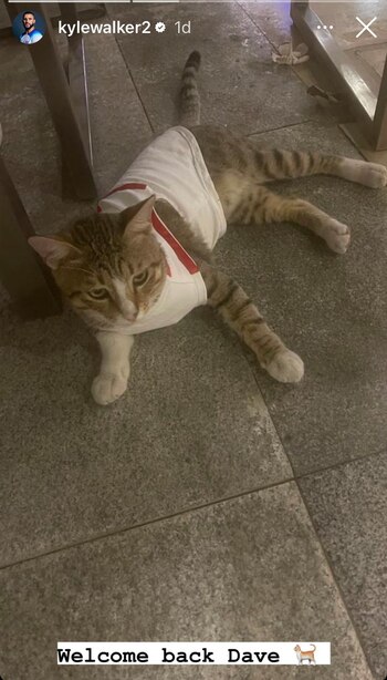 El gato Dave que adoptó Kyle Walker y John Stones (Instagram)