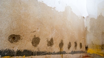 Cómo eliminar la humedad de