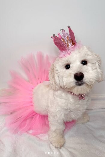 Arianna describió a Charli como