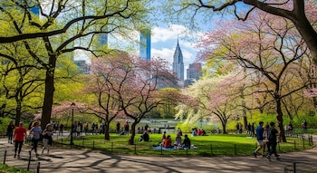 Central Park en primavera. Árboles con hojas verdes y flores rosadas y blancas. Personas caminan, se sientan en el césped y reman en el lago. Edificios de Nueva York al fondo.