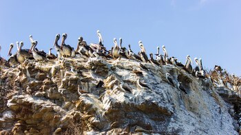 Puerto El Morro (Crédito: Prensa