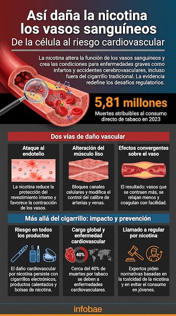 Infografía informativa con ilustraciones de arterias, mapa mundial, iconos de cigarrillos electrónicos y bloques de texto estadístico.